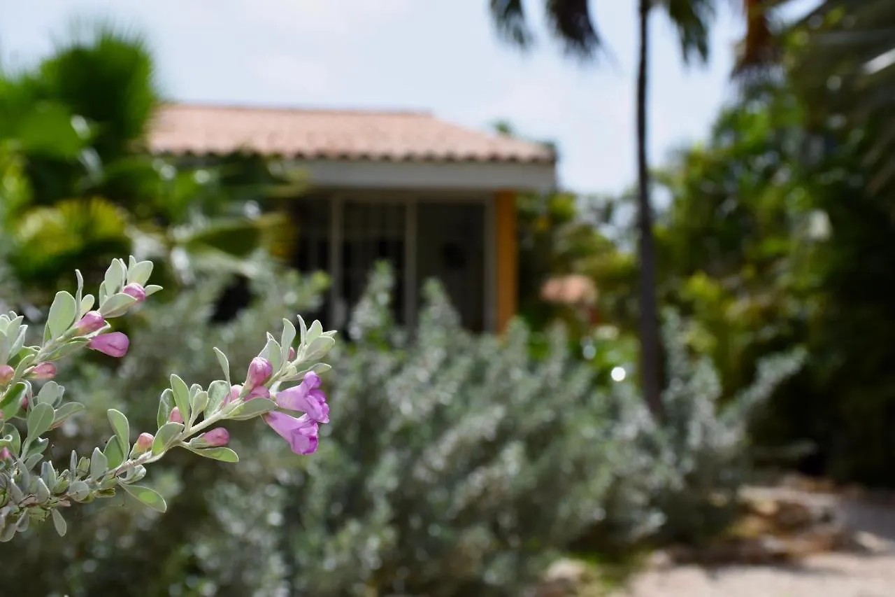 Seru Coral Apartment Willemstad